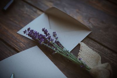 High angle view of flowering plant on table