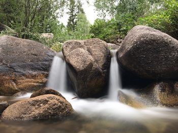 Scenic view of waterfall in forest