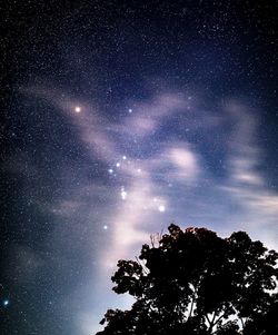 Low angle view of tree against sky at night