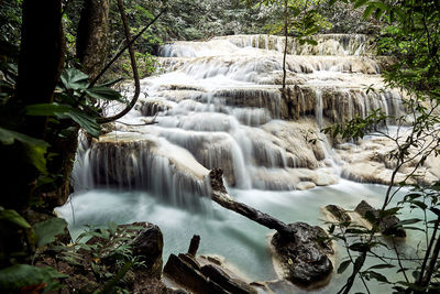 Scenic view of waterfall in forest