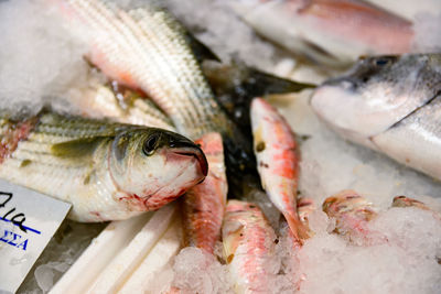 Close-up of fish for sale in market