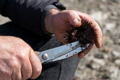 Close-up of man holding fish