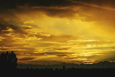 Silhouette trees against sky during sunset