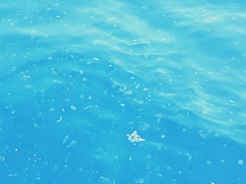 High angle view of raindrops on swimming pool