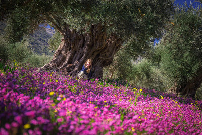 Purple flowering plants on field