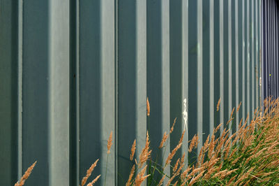 Full frame shot of patterned wall