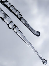 Close-up of icicles against sky