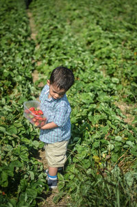 Full length of boy standing on grass