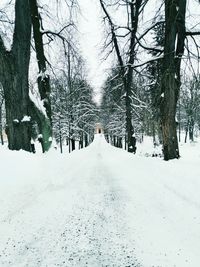 Snow covered road amidst trees during winter