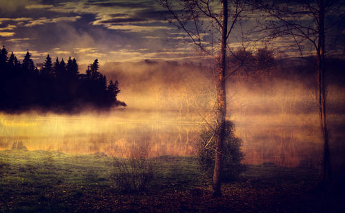 Scenic view of lake in forest against sky