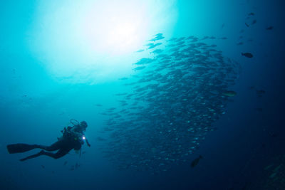 Scuba diving in sea