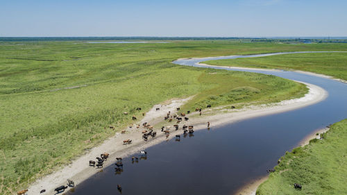 High angle view of field by sea against clear sky