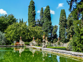 Swimming pool by trees against sky