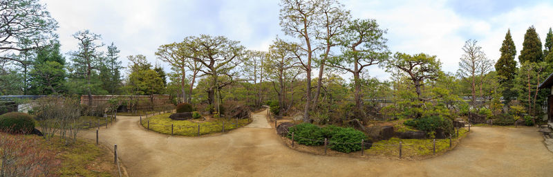 Panoramic shot of trees on land against sky