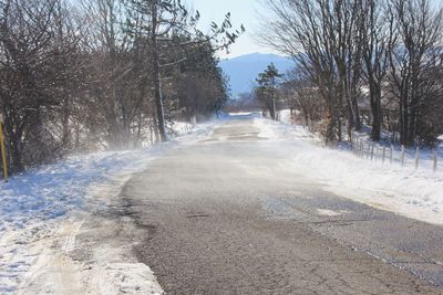 Road amidst bare trees during winter