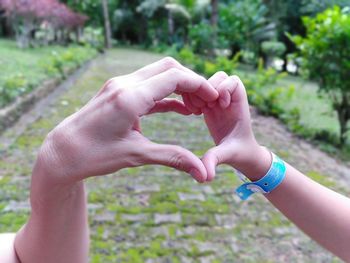 Close-up of hands holding plant against blurred background