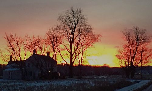 Silhouette of trees on field during winter