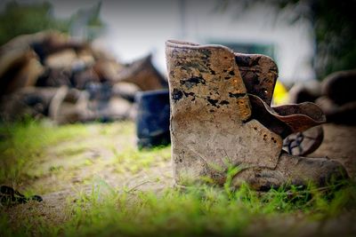 View of grassy field
