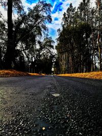 Wet road by trees against sky