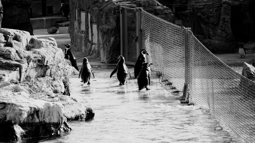 Panoramic shot of people by water