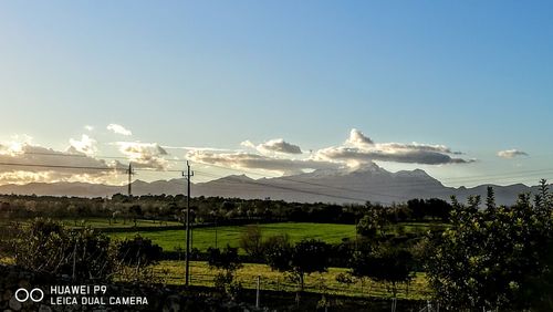 Scenic view of field against sky