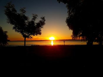 Silhouette trees by sea against sky during sunset