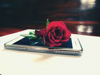 Close-up of rose bouquet