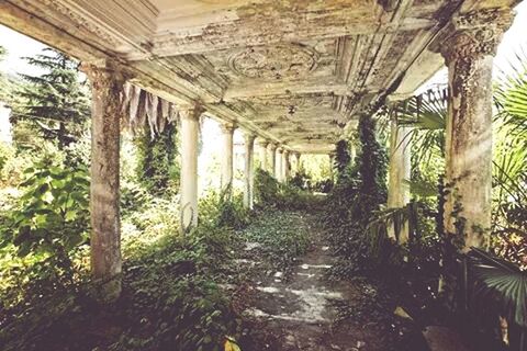 the way forward, indoors, architecture, built structure, diminishing perspective, abandoned, corridor, architectural column, sunlight, narrow, ceiling, vanishing point, day, old, obsolete, no people, empty, column, walkway, arch