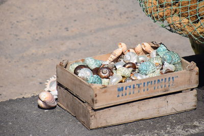 Close-up of shells at beach