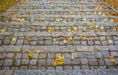 High angle view of autumn leaves on footpath