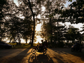 People riding bicycle on road against trees