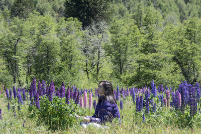 Rear view of woman sitting on purple flowering plants on field