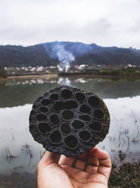 Cropped hand of person holding lotus pod by lake against mountain and sky