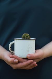 Midsection of person holding cactus in mug