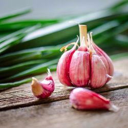 Close-up of garlic bulb