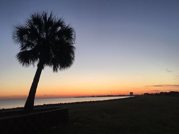 Silhouette palm tree at beach against sky during sunset