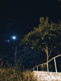 Trees and plants growing on field against sky at night