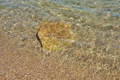 Full frame shot of sea shore