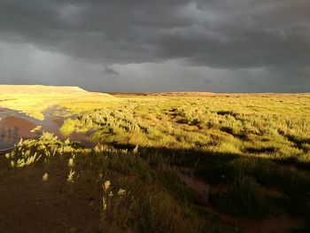 Scenic view of field against sky