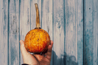 Close-up of person holding apple on wood