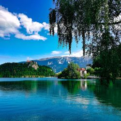 Scenic view of lake by trees against sky