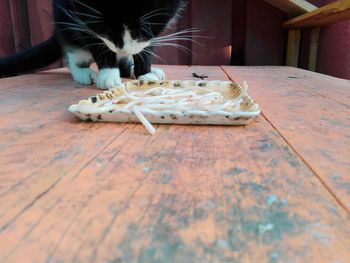 Close-up of cat on table