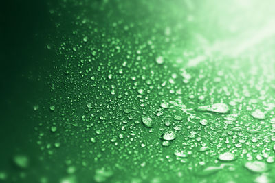 Close-up of water drops on leaf