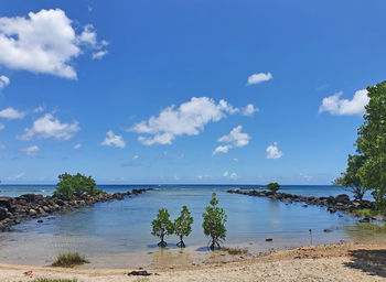 Scenic view of sea against sky