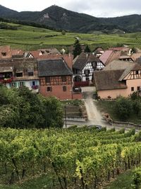 Scenic view of landscape and houses by mountain