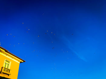 Low angle view of birds flying against blue sky