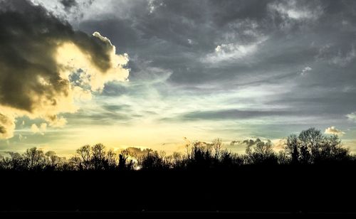 Silhouette plants against dramatic sky during sunset