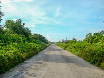 Empty road along plants and trees against sky