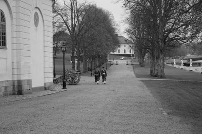 Rear view of soldiers walking by bare trees on road