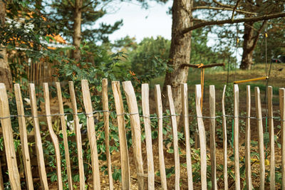 Close-up of fence